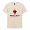 Softstyle™ adult ringspun t-shirt Thumbnail