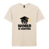 Softstyle™ adult ringspun t-shirt Thumbnail