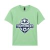 Heavy Cotton™ youth t-shirt Thumbnail