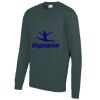 AWDis Academy Kids Raglan Sweatshirt Thumbnail